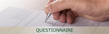 Questionnaire